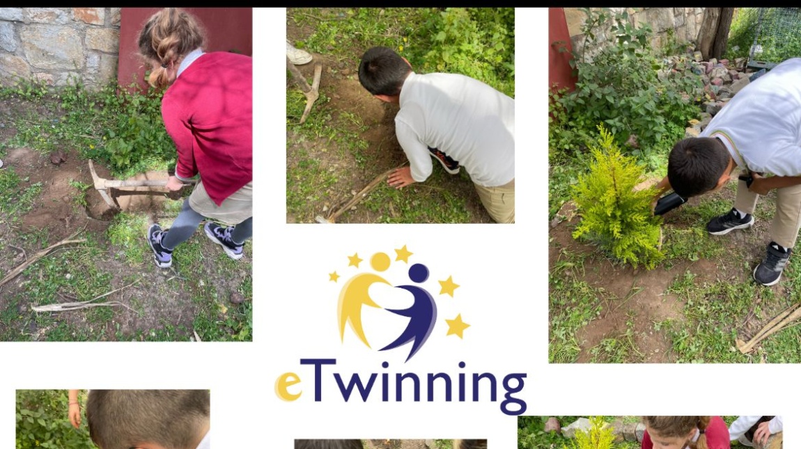 Little Citizens Protecting Nature And Digital Spaces Etwinning projesi 